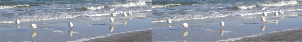 Ferienwohnung Strandkiefer Baabe auf Rügen